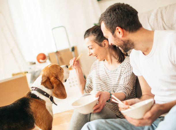 Locataire : comment trouver le bien qui vous correspond ?